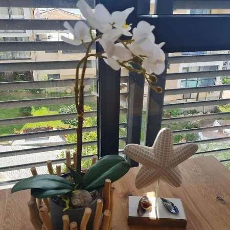 Dolce 2, Appartement Sveti Vlas