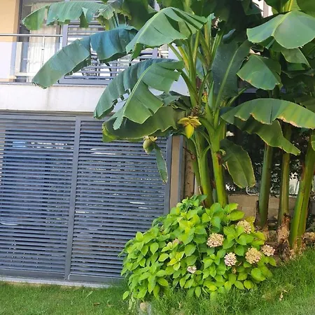 Dolce 2, Appartement *