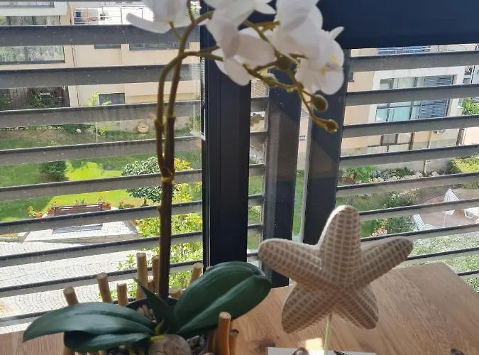 Dolce 2, Apartament Sveti Vlas