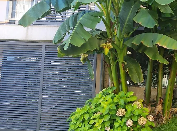 Dolce 2, Apartament *